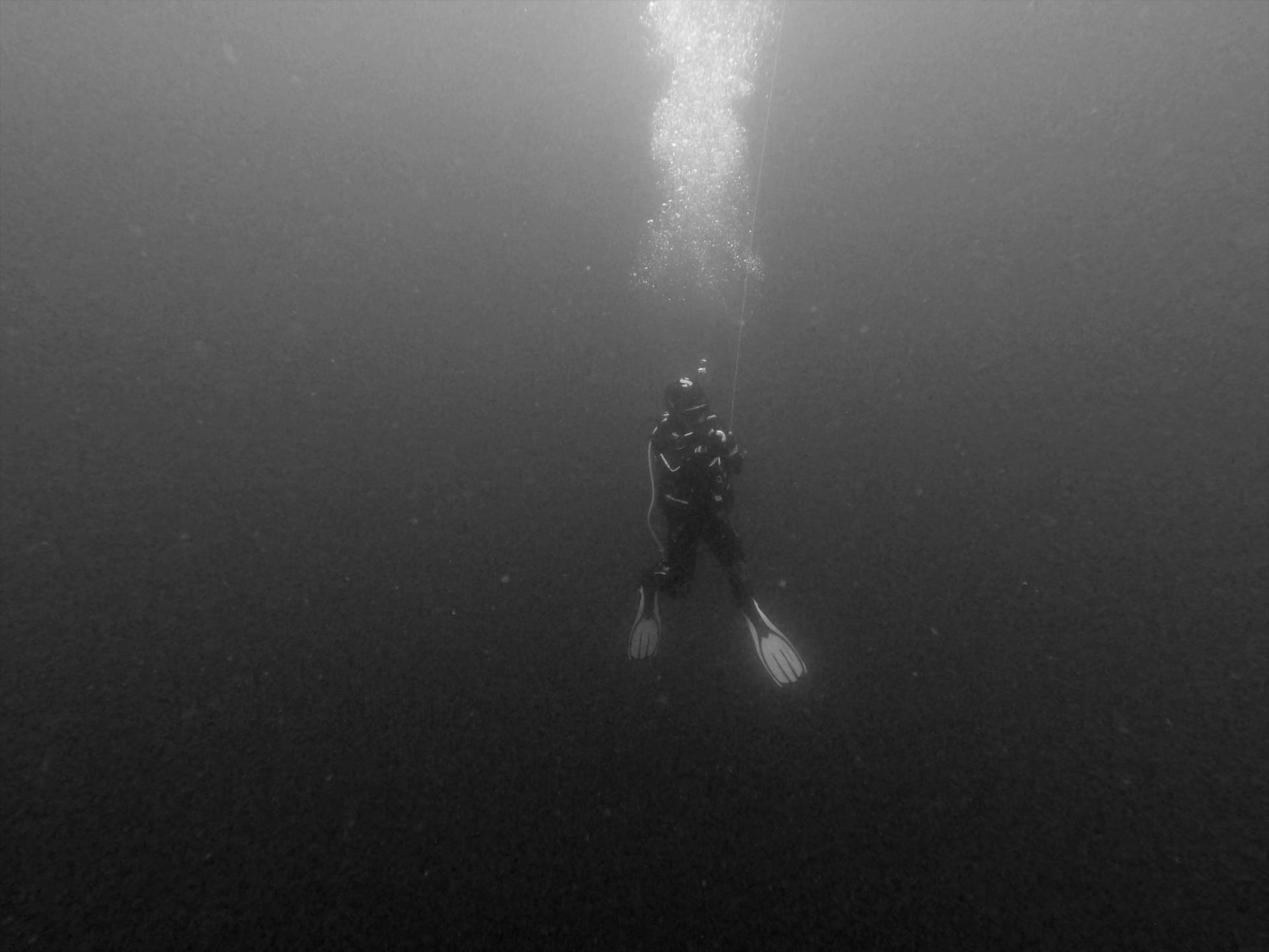 Diver