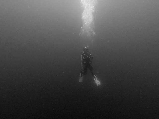 Diver