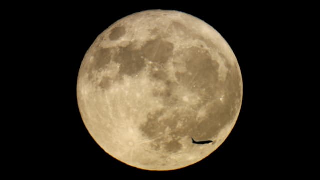 Moon Plane