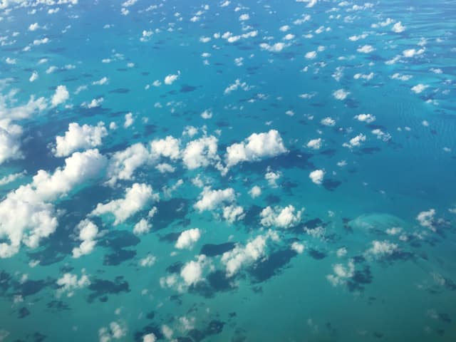 Tropics