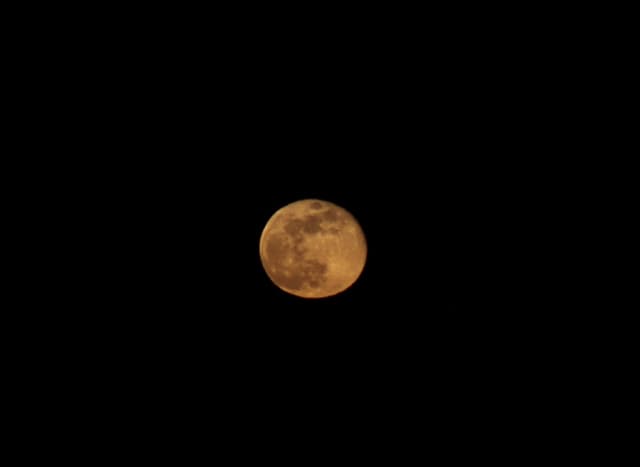 Damn Moon