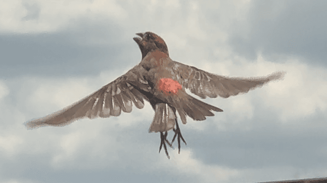 Takeoff