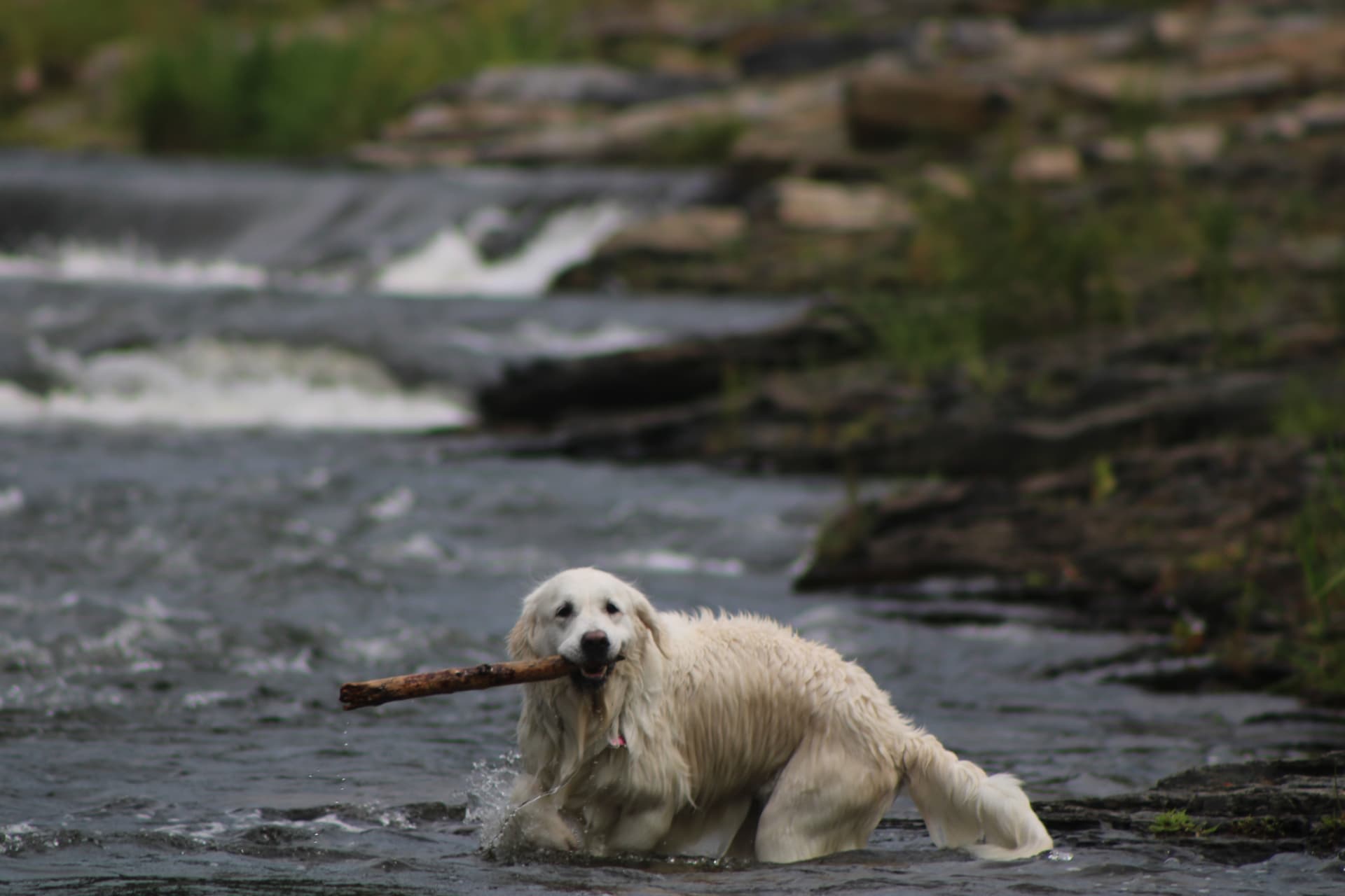 Gabby In River