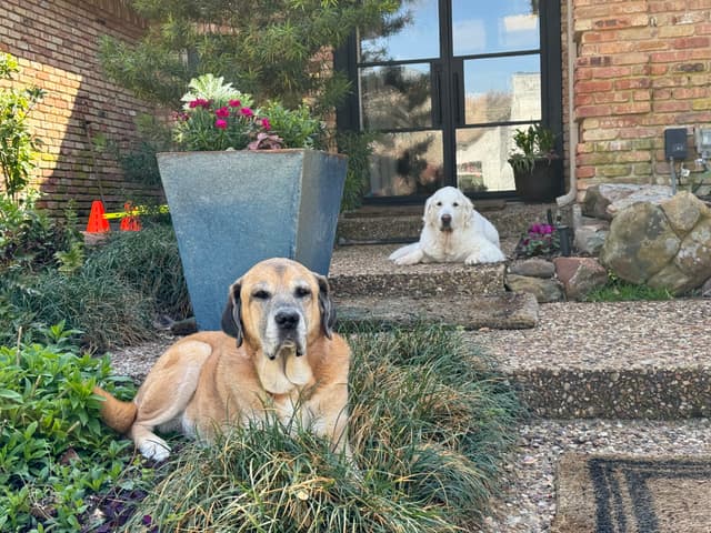 Max & Gabby