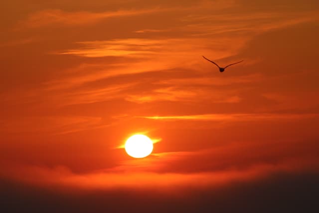 Into the Sunset