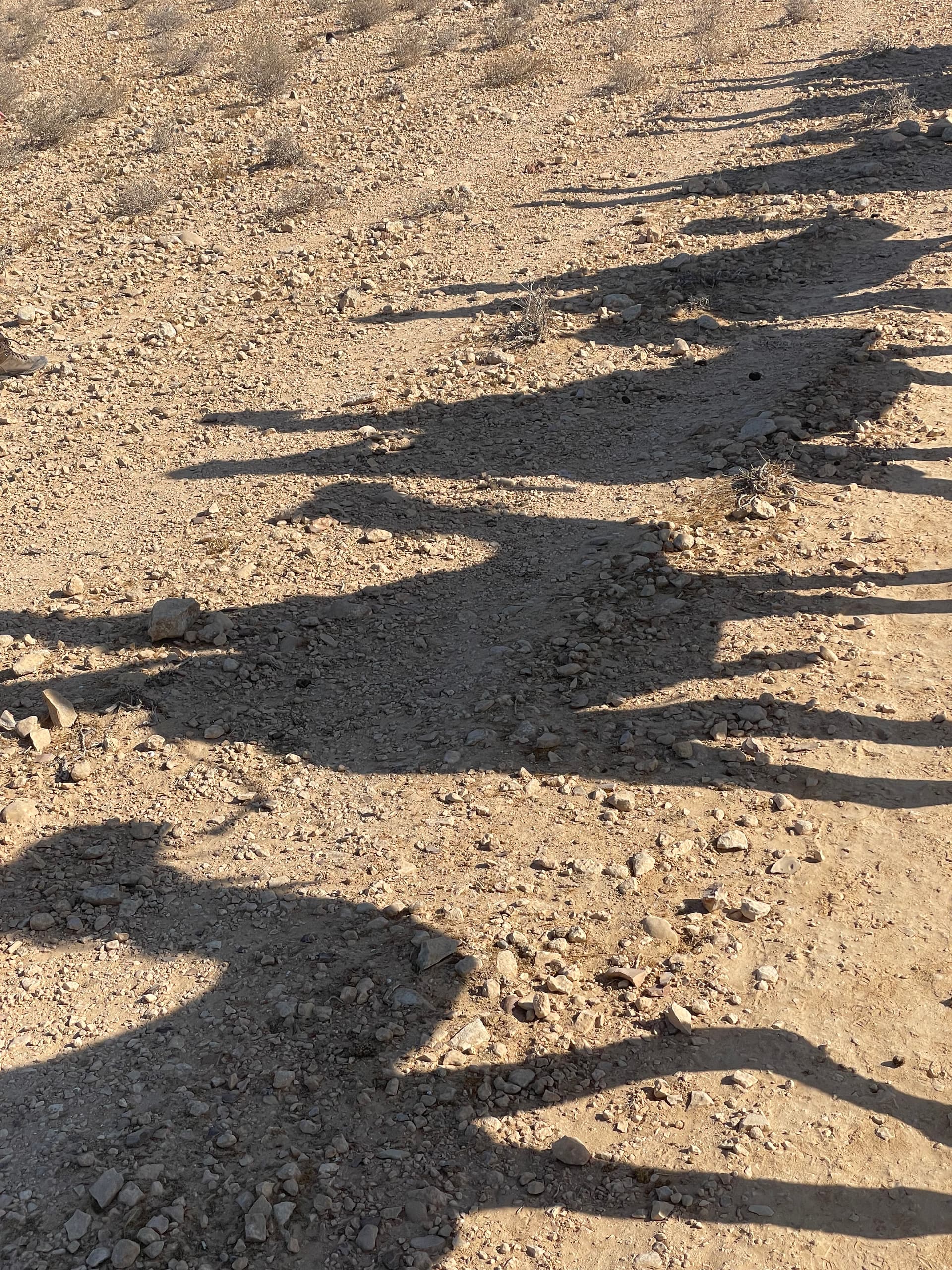 Across The Negev