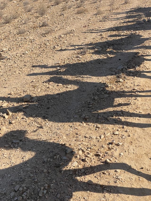 Across The Negev