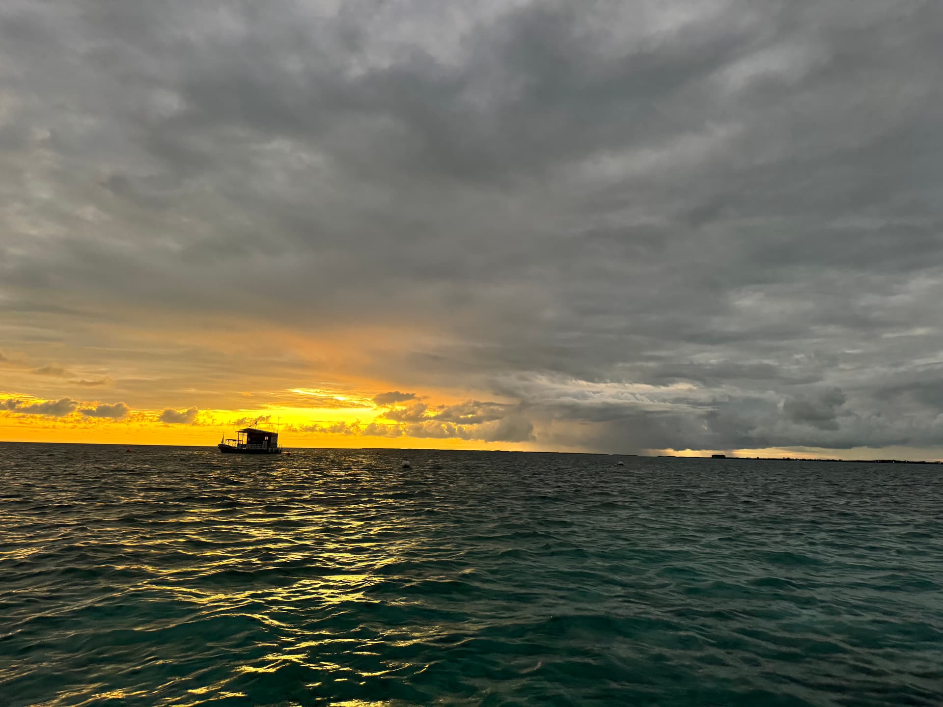 Waiting to Dive Again