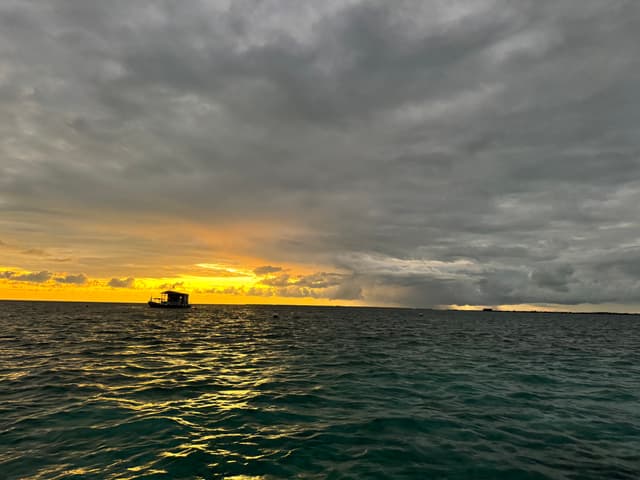 Waiting to Dive Again