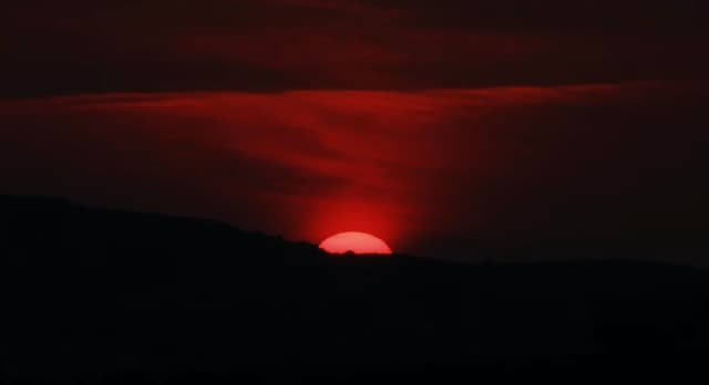 Solstice 21