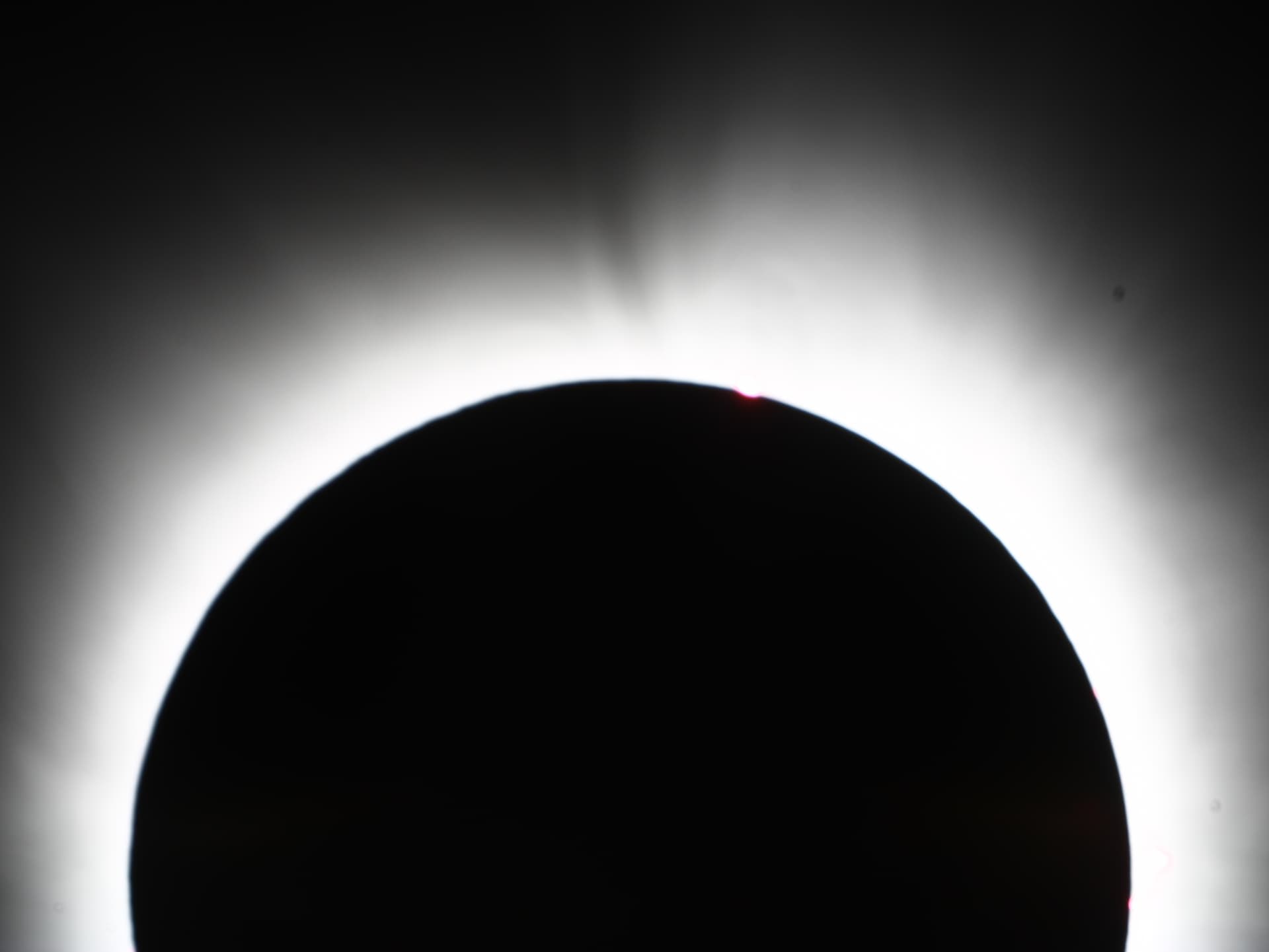 Corona