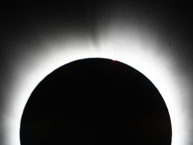 Corona