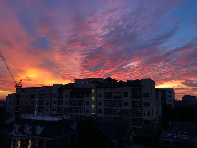 Vandalized Sunset