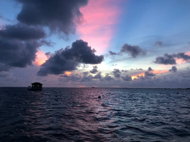 Waiting to Dive