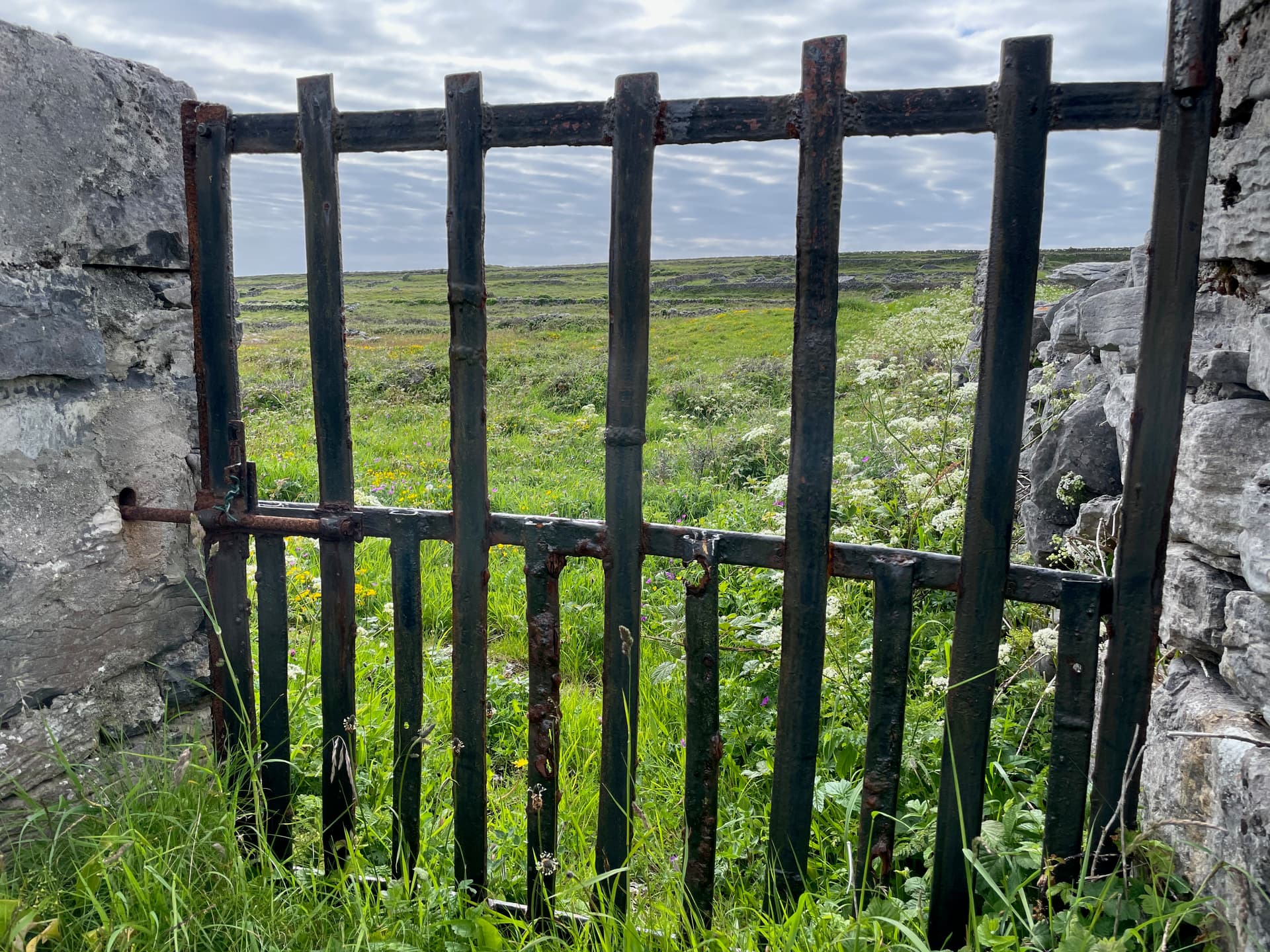 Open World
