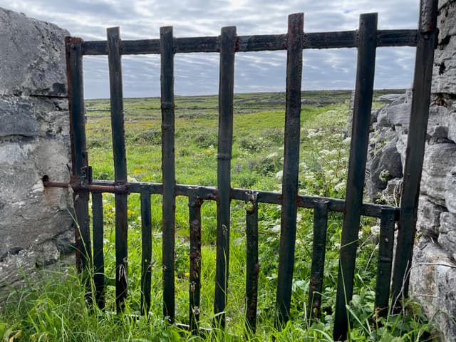 Open World
