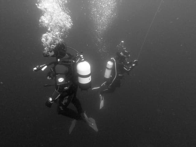 Diver Diver